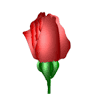 Die Blumenbinder