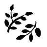 Die Brocanterie