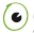Die Optikerei