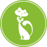 The Modern Cat