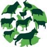 Dierenkliniek Aalsmeer