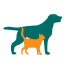 Dierenarts Goes - Dierenartsenpraktijk Dier & Arts (voorheen Mosselman & Verboom)