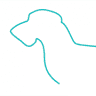 Dierenarts Leysen