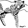 Dierenkliniek Hugen