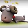 Marjons Petfood
