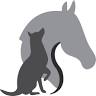 DierFysioFit voor fysiotherapie, chiropractie, lasertherapie en revalidatie voor paard, hond en kat