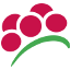 Die Schwarzwälderin