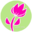 FLOWER IN FLOWER Foggia