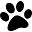 DigiBeet en Katten Café