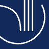 Dansk Institut For Internationale Studier (Diis)