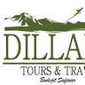 Dillard Tours and Travel