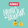 DİMES Aydın Fabrika