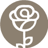 La Rosa Bianca