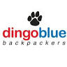 DingoBlue BASE Backpackers Hostel