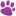 Dingo Brand