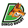 Dingo Rugby Club