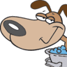 Dirty Dogs Spa
