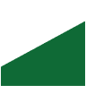 Lewis Environmental