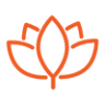 Discover Yoga