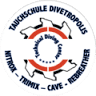 Tauchschule Divetropolis