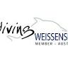 Diving Weissensee