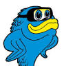 Scuba Tours