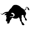 Wild bull Ltd.