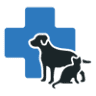 Dixboro Veterinary Dental