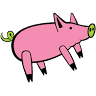 Dizzy Pig Craft Seasonings