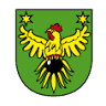 City Đurđevac - Government