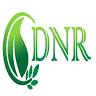 Dangalawatte Natural Rubber