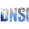 DNS Technology