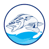 DOCE MAR PESCADOS DISTRIBUIDORA
