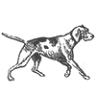 Dog and Pheasant