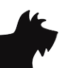 Dog & Style