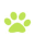 Dog Charm Studio