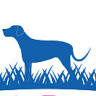 Dog'O Wash/Design