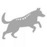DogPhysio-Viersen