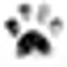 DOG PPL