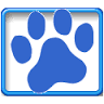 Dog Training Newcastle