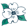 Dogwood Insurance Agency LLC