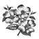 Dogwood Property Management