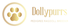 Dollypurrs - Pedigree Ragdoll Registered Cat Breeder