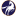 Dolorosa Arabians