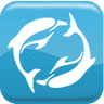 Dolphin Pumps