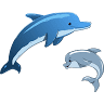 DOLPHINS HIGH SCHOOL (10+2 CBSE Affiliated) - Pratap Nagar , Jaipur