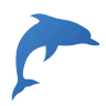 Dolphin Watching Rovinj