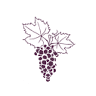DOMAINE BERGERON