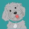Doodle Bean Coffee LLC