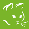 Dorwell Cattery